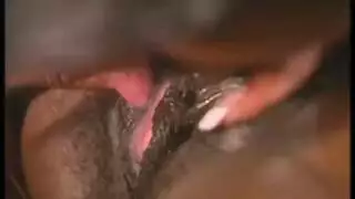 أرشيف مشاهد سكس ليبية جامحة نيك وطيز