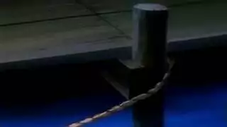 رسوم نيك الحيوانات كرتون سفاح القربى xxx