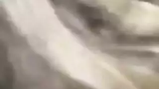 بورن شمال إفريقيا شرجي وتبادل الأزواج