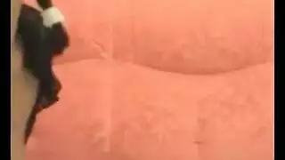 سحر كرات قبل نائب الرئيس