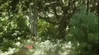 أرشيف عائلة غزال: فيلم جنس جماعي برازيلي كلاسيكي
