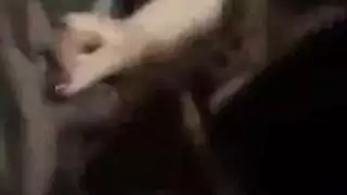 ثنائي العراقي يمارس الجنس بقوة مع اثنين