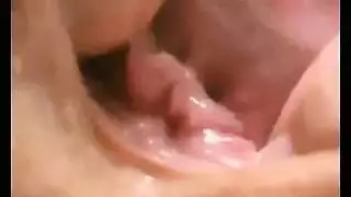 افتضاحي ديسكو الديك صغير