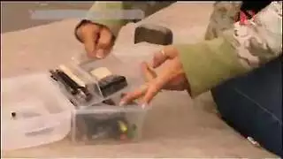 أوجي في الحديقة: كلاب صغيرة تمتلئ فتحاتها علناً