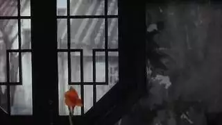 مركز إباحي غير مرشح: شاهد مقاطع فيديو صريحة مباشرة