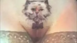 كرنفال ضرب المهبل: كل فتحة تحصل على حمولة