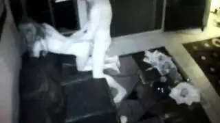 خيال سحاقي: امرأتان مثيرتان تمارسان الجنس بقوة مع عذراء صغيرة