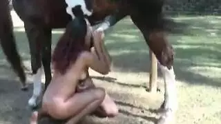حصان ينيك بنتين سمراوات اجمل افلام سكس حيوانات مع بنات