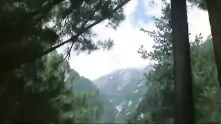 ینیکها حتی تبول