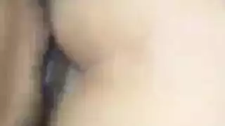 إغراء شيميل: بورن ترانس صريح