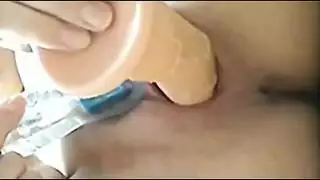 شرج مصرية