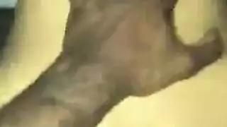 الرجل الأسود يمارس الجنس مع جبهة مورو بصورة عاهرة مع ديك سميكة مثل قضيب صديقه الأسود