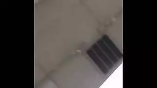 السوط المحاصيل اللغة السويدية متحول جنسي